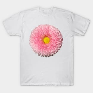 Daisy T-Shirt